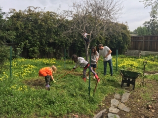 Preparing veg garden area 2017