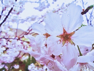 Camera 360